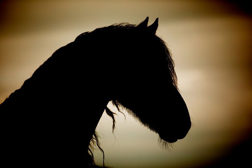 Pferd Silhouette von Kim van Beveren