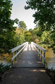 Houten brug in Veldpark in Zaandam