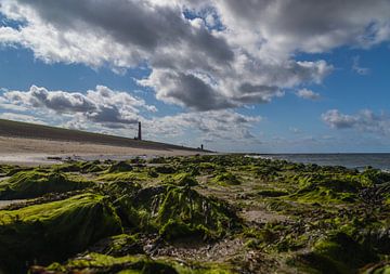 Zeezicht vanaf de dijk in Den Helder van Davadero Foto