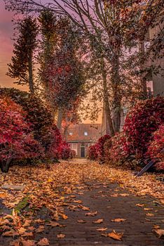 Autumn Leaves