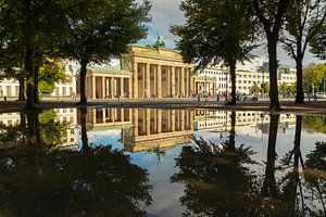 Miroir de Berlin sur Ilya Korzelius