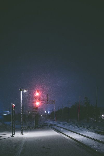 Montreal by Hello Pompoyo