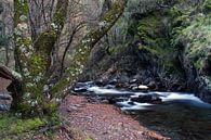 Mountain River van Cornelis (Cees) Cornelissen thumbnail