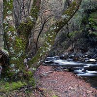 Sierra Nevada (Espagne)