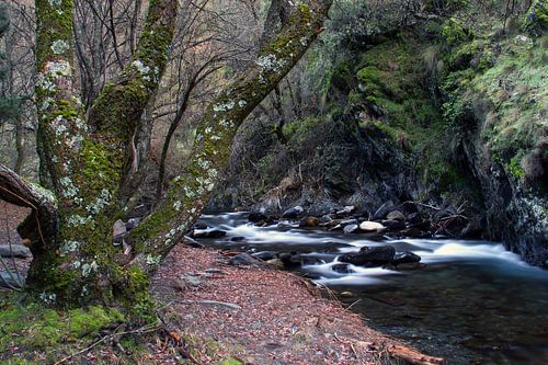 Mountain River