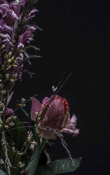 Bouquet by MirjamCornelissen - Fotografie