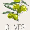 Olives – Illustration Moderne en Line Art d’Oliviers sur Marian Nieuwenhuis
