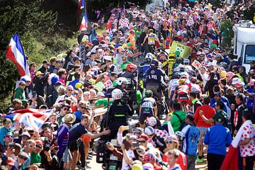 Run Froomey Run – Tour de France