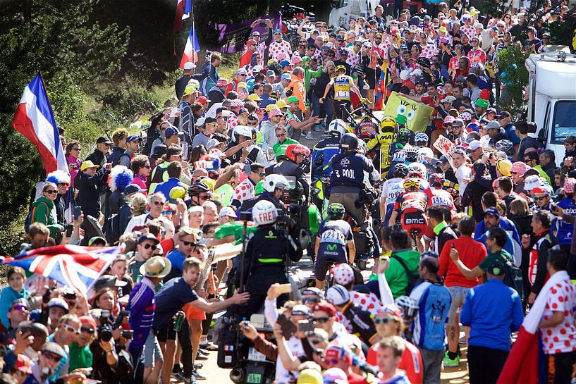 Run Froomey run par Leon van Bon