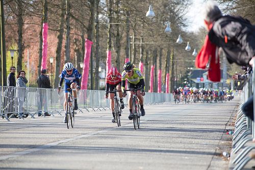 Ronde van Gelderland