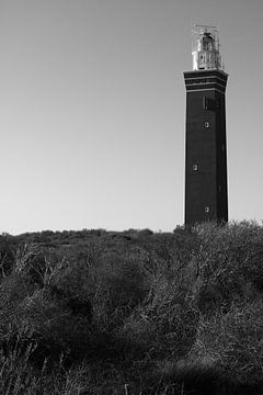 Die Hüterin der Küste