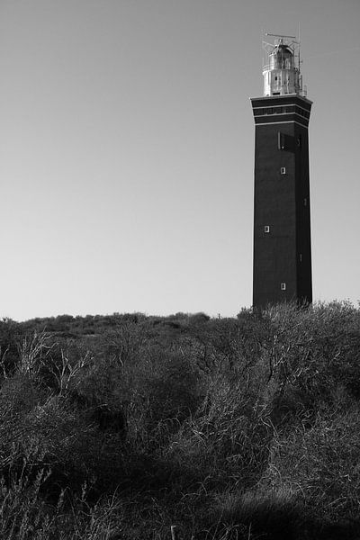 Die Hüterin der Küste von Patrick Teeling