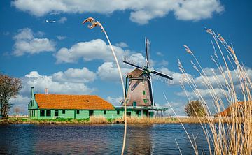 De Paauw Windmühle in der Nähe von Nauerna, Niederlande