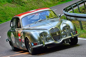 Jaguar 3.8 S Queen - Start 119 - Eggberg Klassik 2025