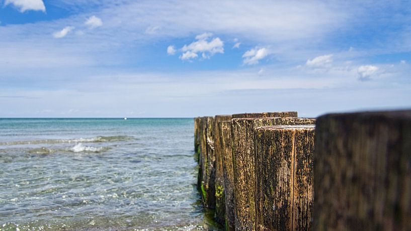 Buhne in Zingst aan de Oostzee, reikend in zee van Martin Köbsch