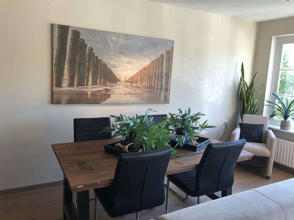 fantastische Buhnen in Zeeland  von anne droogsma 