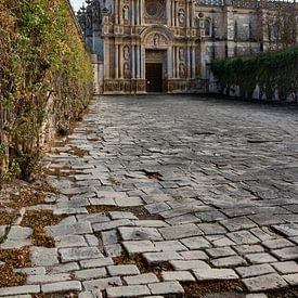 Cartuja de SANTA MARIA DE LA DEFENSION Jerez de la Frontera von Leticia Spruyt