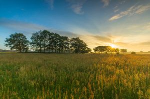 Dutch sunrise landscape sur Marcel Kerdijk