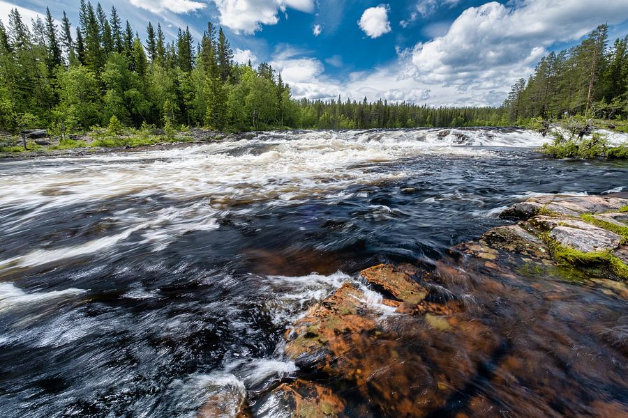 Rapids