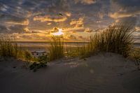 De schoonheid van de Hollandse duinen.