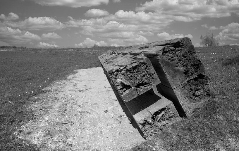 Großer Strahl von Jose Lok