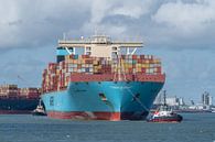 Maersk's giant container ship: Munkebo Maersk, Maasvlakte, Port of Rotterdam, April 2021. by Jaap van den Berg thumbnail
