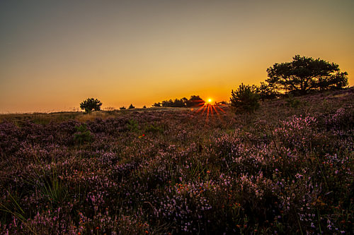 sunrise at a morning
