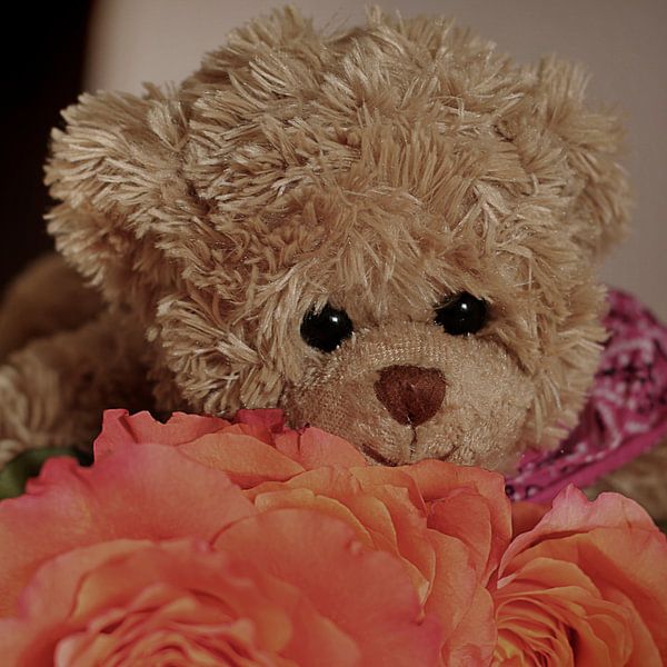 Knuffelbeer van Laura von S