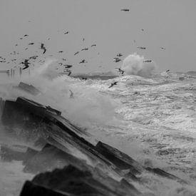 Storm Zuidpier IJmuiden van Eva Cameron