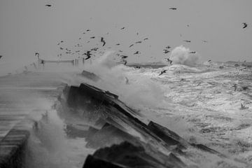 Storm Zuidpier IJmuiden by Eva Cameron