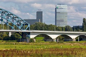 Zwolle IJssel Tower and IJssel Bridge