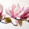 Magnolia: Pure Genesis 3/3 van Martin Mol