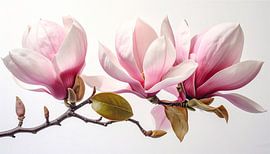 Magnolia: Pure Genesis 3/3 van Martin Mol