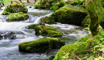 River in the Triebtal Vogtland Cascade Nature 04 by Animaflora PicsStock