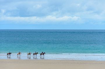 5 Reiter am Strand in der Bretagne.