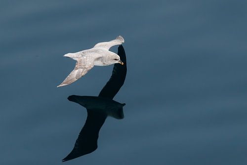Zeilend over het water