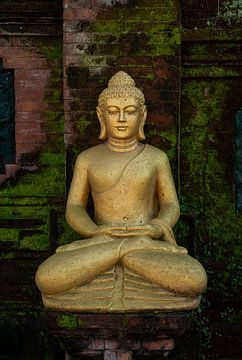 Sitzender goldener Buddha von Ellis Peeters