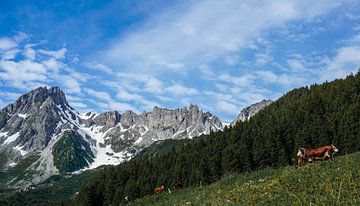Idyllische Atmosphären in der Mont-Blanc-Region von Lenskappie