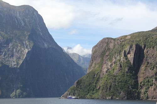 Milford Sound, Südinsel von René Boeff
