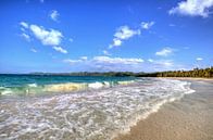 Bij Playa Rincon op het schiereiland Samaná van Roith Fotografie thumbnail