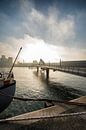 Rijnhaven Rotterdam mit der Rijnhaven-Brücke von Rob van der Teen Miniaturansicht