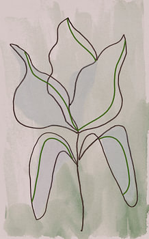 Contours botaniques minimalistes