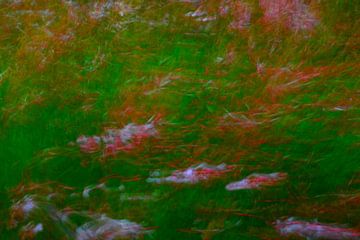 SPRING 7 by Miroslav Ptacek