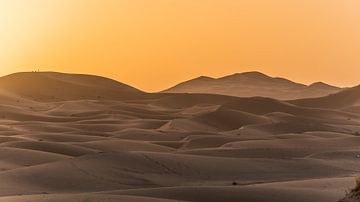 Voyage dans le désert du Sahara au Maroc