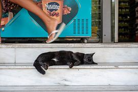 Serenity in the old town by Karsten Rahn