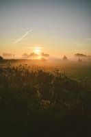 Zonsopkomst landelijk