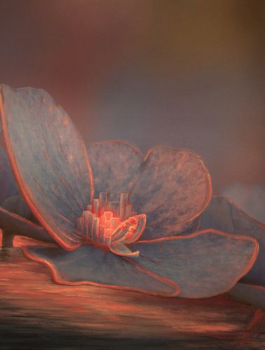 Hortensia bloesem 2a