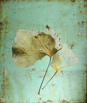 The Last Breath van Lucy Besson