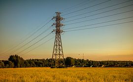 Transmission Tower over Golden Field – Power Lines at Golden Hour | Modern Landscape Art