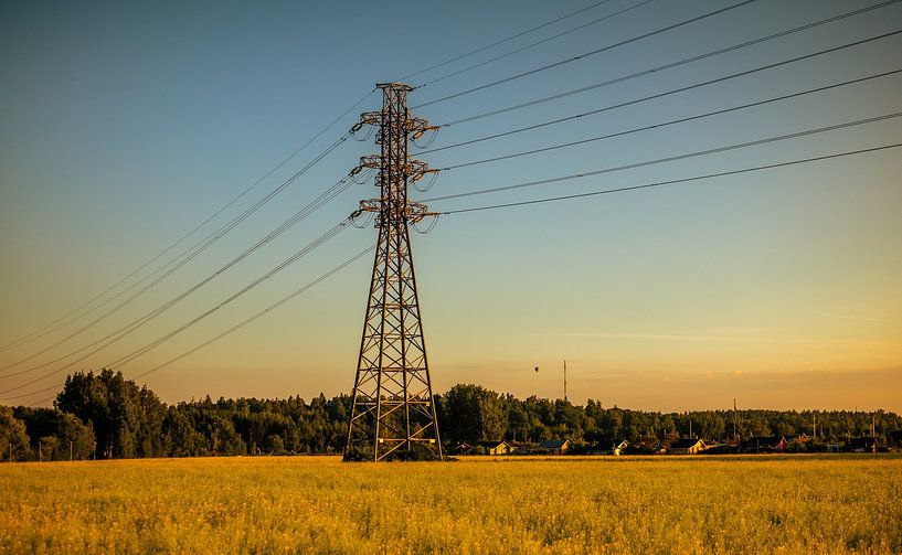 Hochspannungsmast über goldenem Feld – industrielle Linien im Abendlicht | modernes Landschaftsbild von Brave Toaster Photos